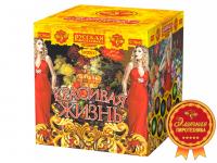 Красивая жизнь Фейерверк купить в Октябрьском | oktyabrskoe.salutsklad.ru