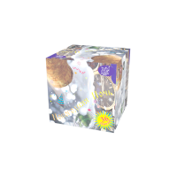 Новогодняя ночь Салют купить в Октябрьском | oktyabrskoe.salutsklad.ru