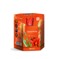 Тюльпаны Салют купить в Октябрьском | oktyabrskoe.salutsklad.ru