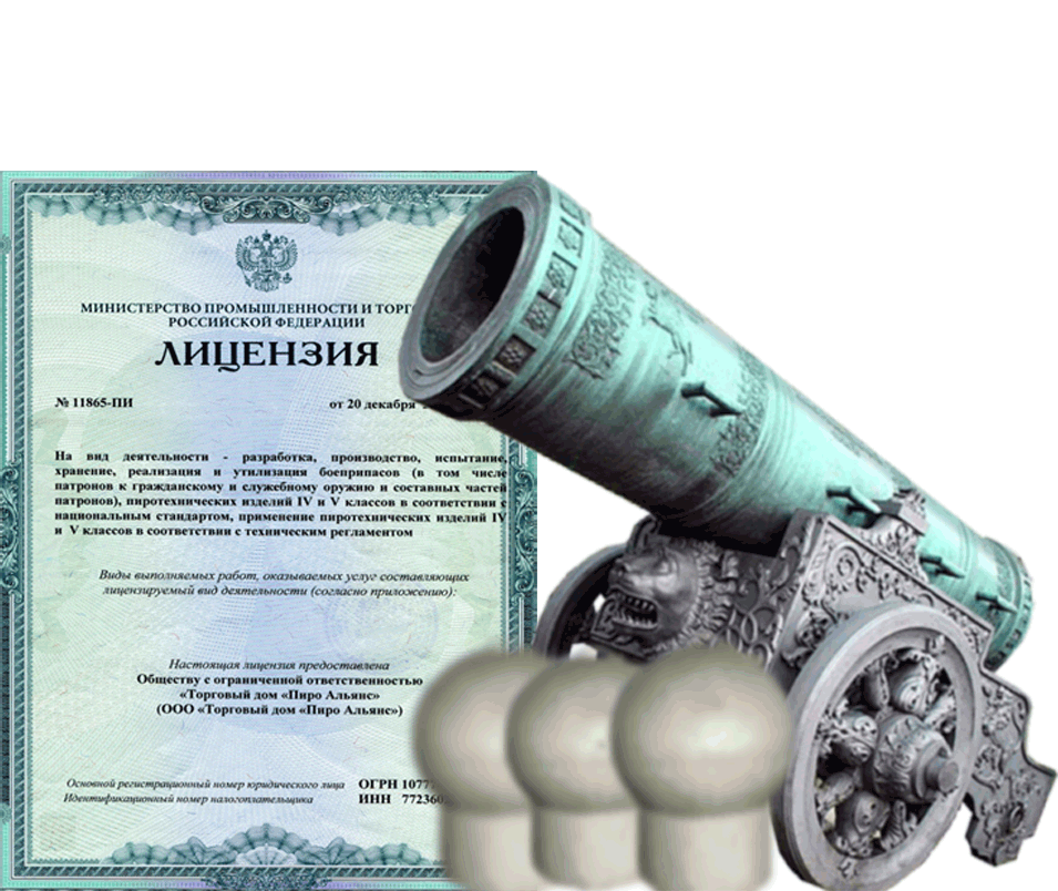 Заказать фейерверк на Новый Год - салют в Октябрьском