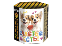 Счастье есть! Салют купить в Октябрьском | oktyabrskoe.salutsklad.ru