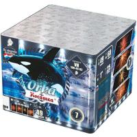 Косатка Фейерверк купить в Октябрьском | oktyabrskoe.salutsklad.ru