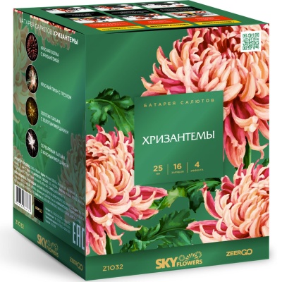 Хризантемы Фейерверк купить в Октябрьском | oktyabrskoe.salutsklad.ru