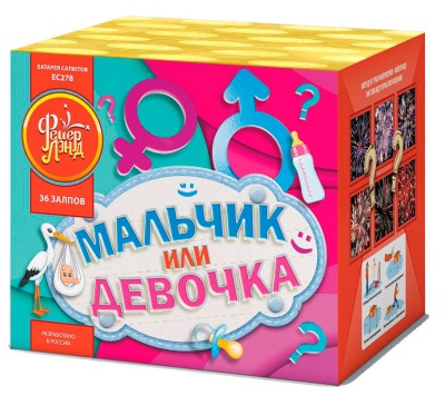 Мальчик или девочка М Фейерверк купить в Октябрьском | oktyabrskoe.salutsklad.ru